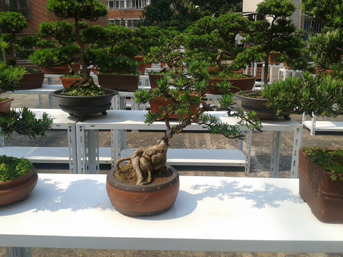 2013-05-21 14.02.12.jpg