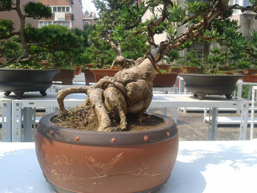 2013-05-21 14.00.46.jpg