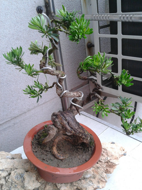 2013-05-26 13.22.06.jpg
