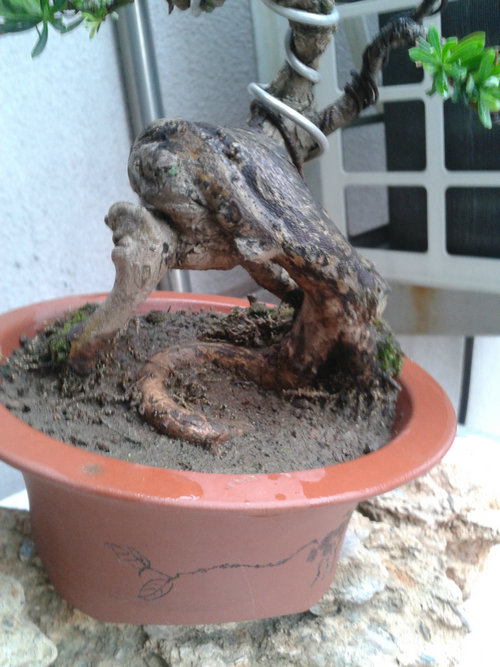 2013-05-26 13.22.19.jpg