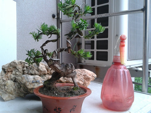 2013-05-26 13.20.39.jpg