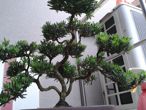 2013-05-26 13.38.52.jpg