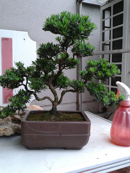 2013-05-26 13.38.30.jpg