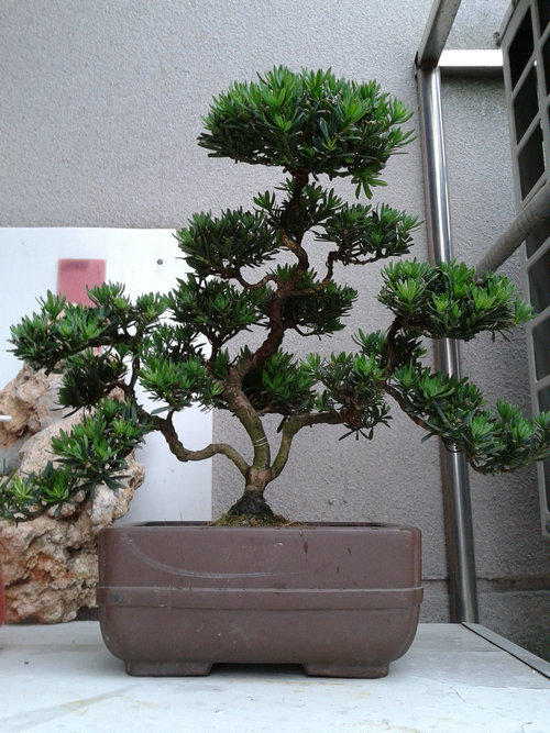 2013-05-26 13.50.00.jpg