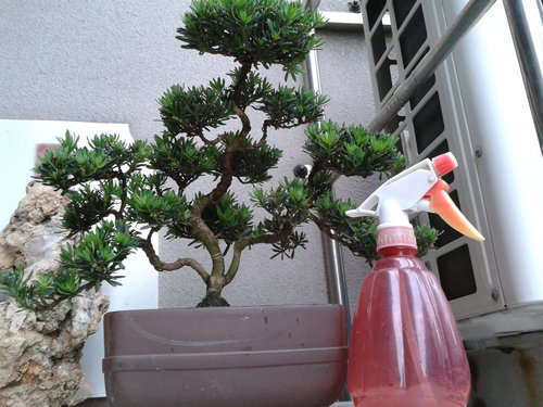 2013-05-26 13.50.33.jpg
