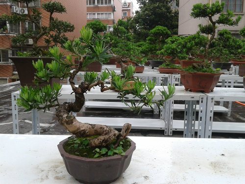 2013-05-26 14.26.22.jpg