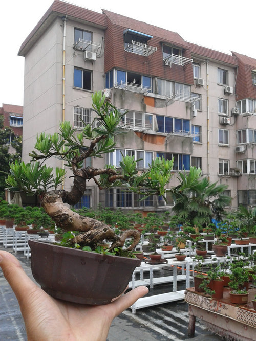 2013-05-26 14.20.33.jpg