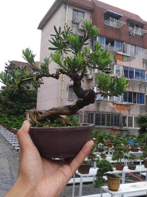 2013-05-26 14.23.30.jpg