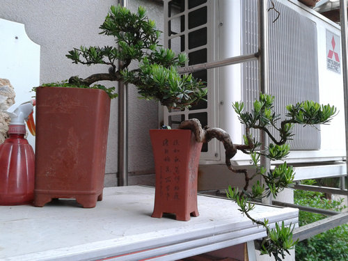 2013-05-26 14.04.50.jpg