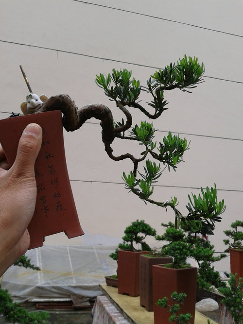 2013-05-26 14.00.19.jpg