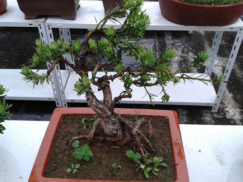 2013-05-26 13.45.35.jpg
