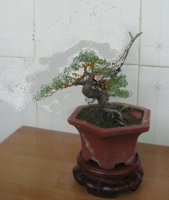 PD97(Y_8R2)J7VJJH%M304K.jpg