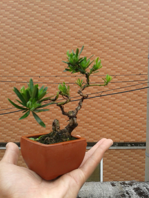 2013-05-17 13.01.07.jpg