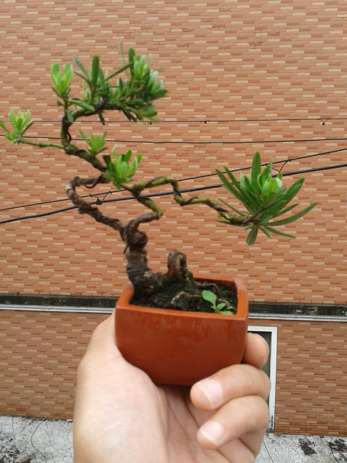 2013-05-17 13.01.23.jpg