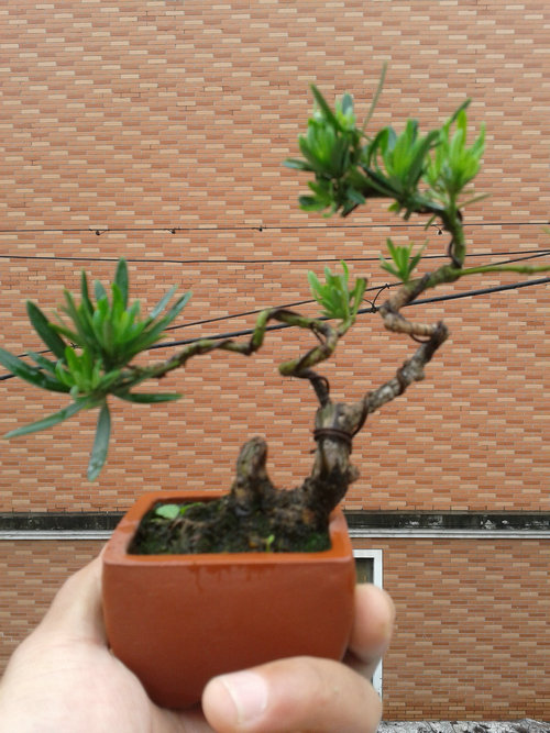 2013-05-17 13.01.37.jpg