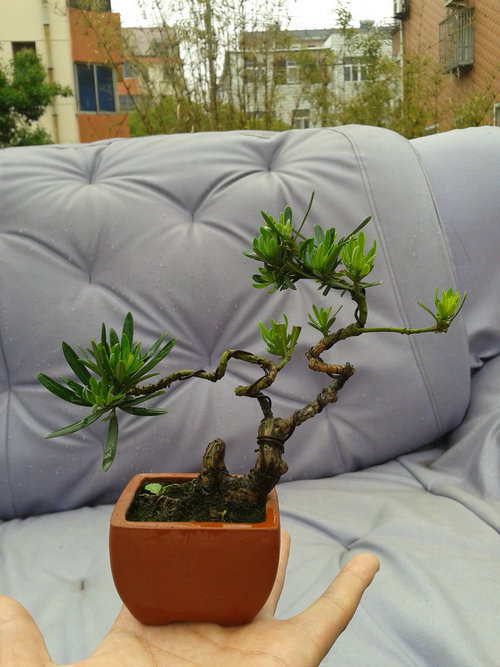 2013-05-17 13.03.06.jpg