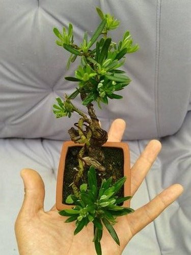 2013-05-17 13.32.23.jpg