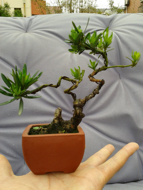 2013-05-17 13.32.37.jpg