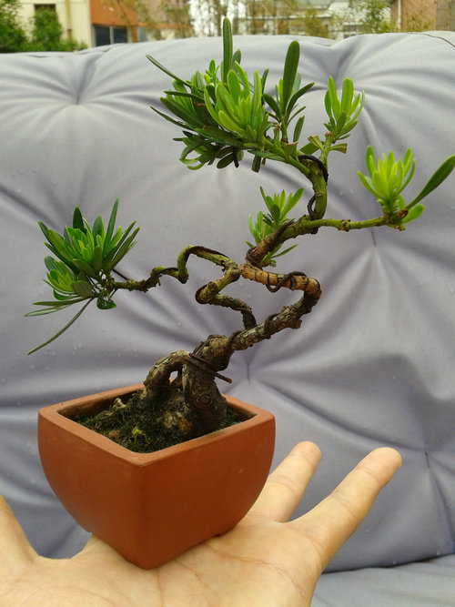 2013-05-17 13.32.56.jpg