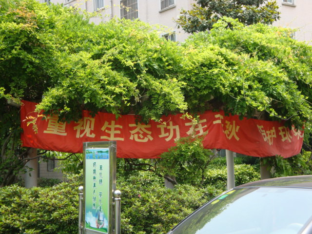 DSC03928.JPG