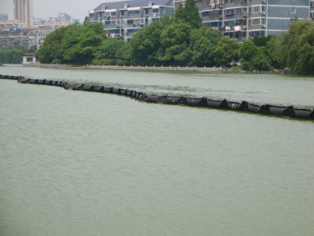 DSC03920.JPG