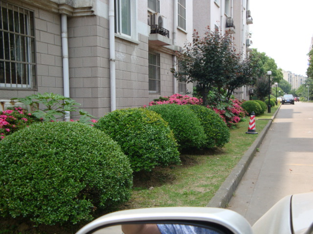 DSC03922.JPG