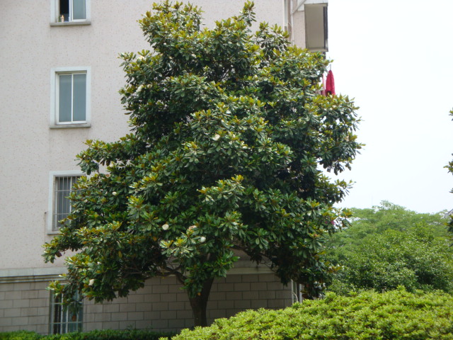 DSC03925.JPG