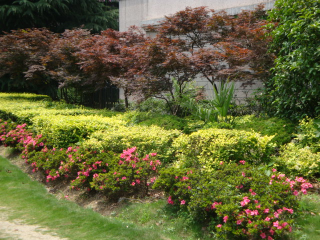 DSC03927.JPG