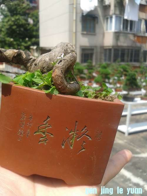 2013-05-22 13.21.27.jpg