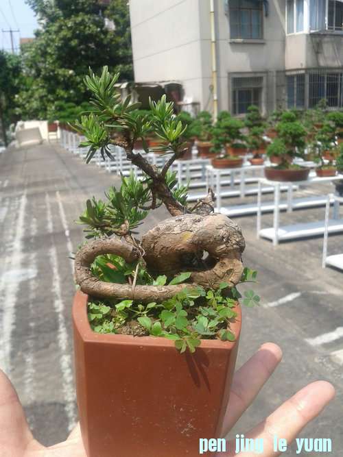 2013-05-22 13.21.38.jpg