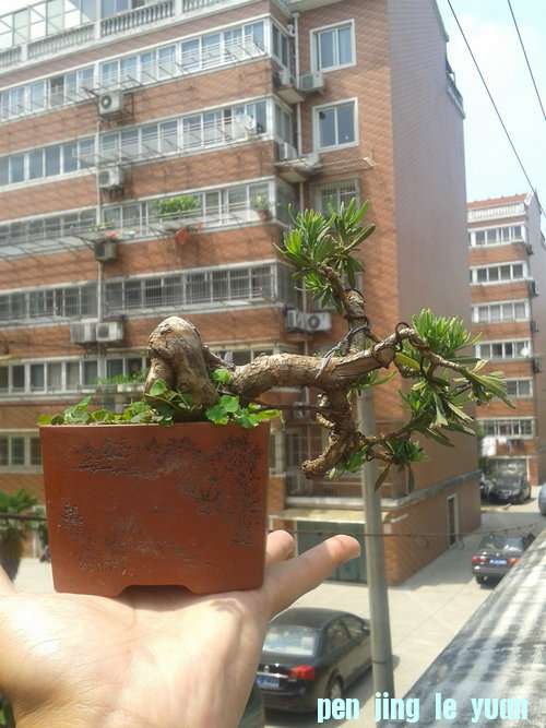 2013-05-22 13.21.58.jpg