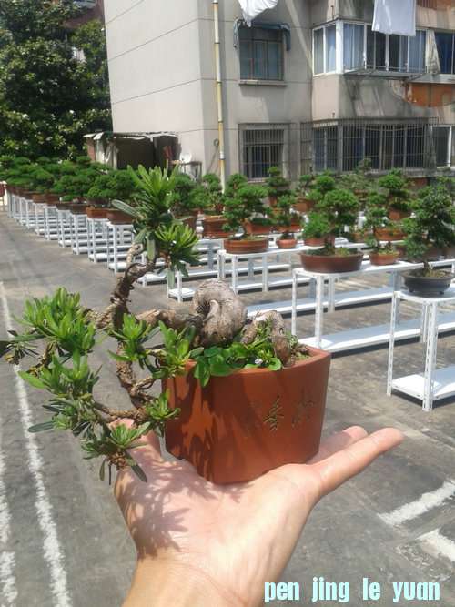 2013-05-22 13.22.12.jpg