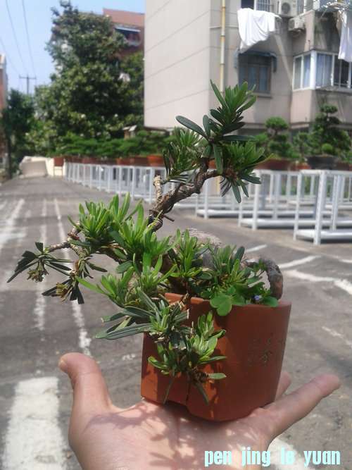 2013-05-22 13.23.44.jpg