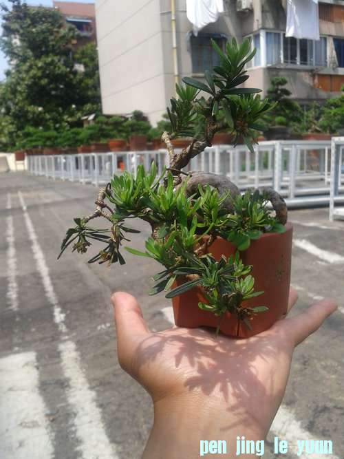 2013-05-22 13.24.33.jpg