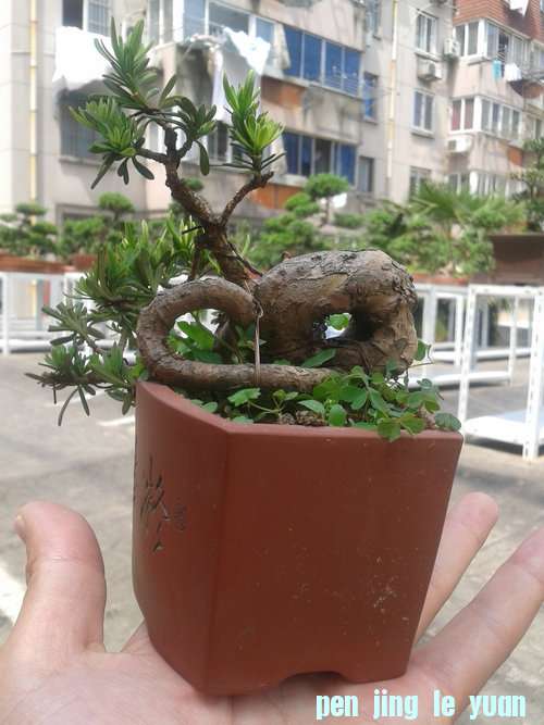 2013-05-22 13.25.12.jpg
