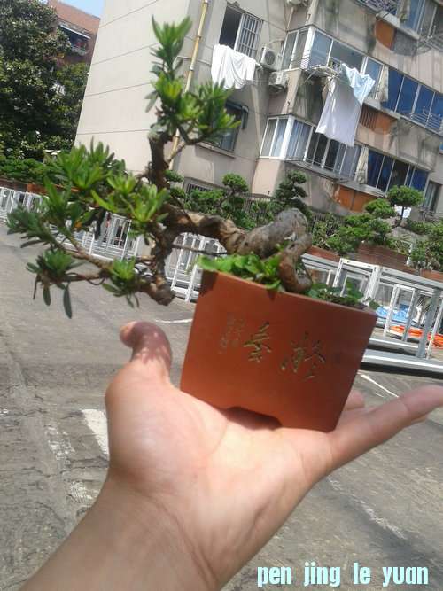 2013-05-22 13.25.43.jpg