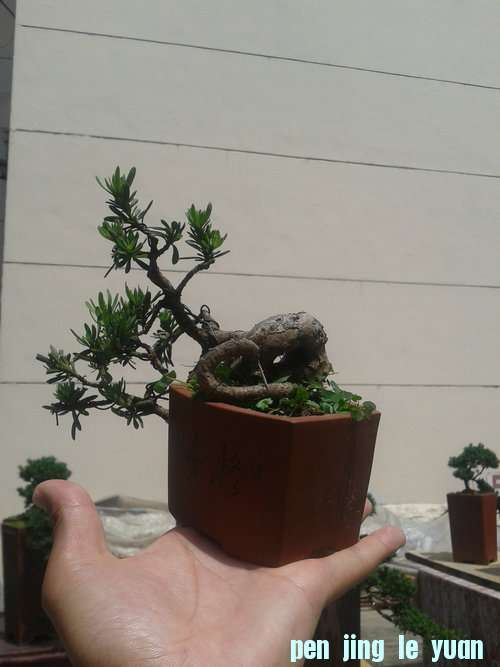 2013-05-22 13.20.19.jpg