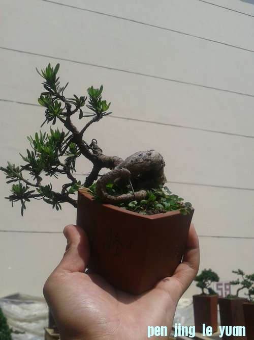 2013-05-22 13.20.39.jpg