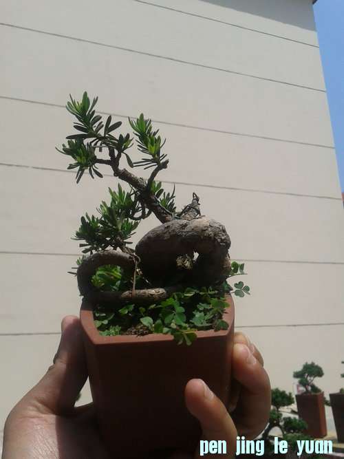 2013-05-22 13.20.59.jpg