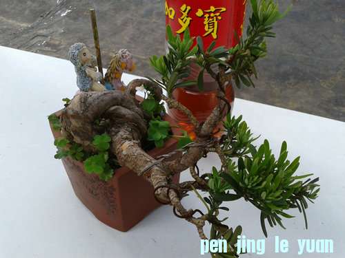 2013-05-22 14.43.21.jpg