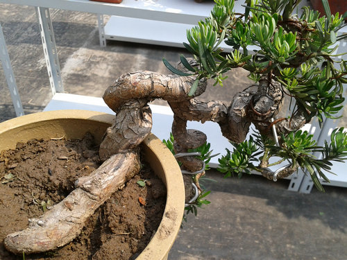 2013-05-27 14.20.05.jpg