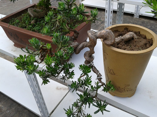 2013-05-27 14.20.34.jpg
