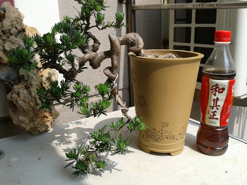 2013-05-27 14.13.53.jpg