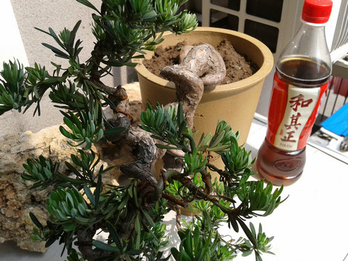 2013-05-27 14.15.14.jpg