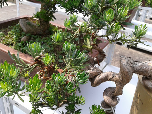 2013-05-27 14.23.30.jpg