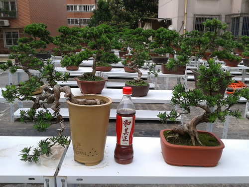 2013-05-27 14.03.42.jpg