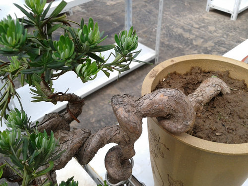 2013-05-27 14.04.58.jpg