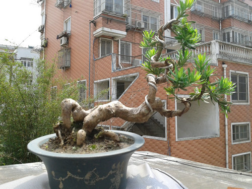 2013-05-27 13.47.00.jpg