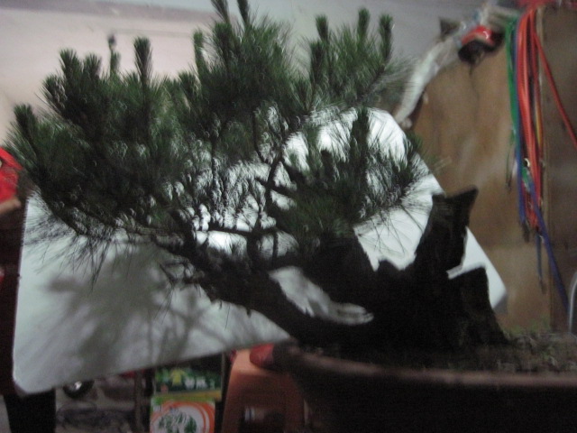 0527���� 001.jpg