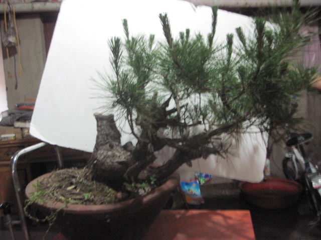 0527���� 002.jpg